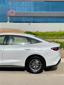 بي واي دي سيل 06 DM-i